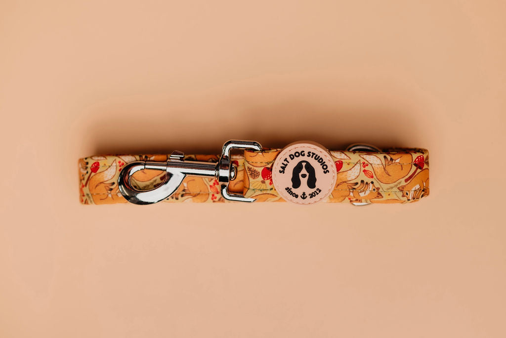Fantastic Fox Dog Lead