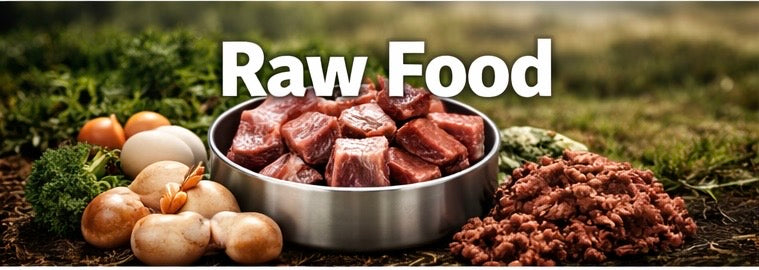 Raw Food & Raw Treats