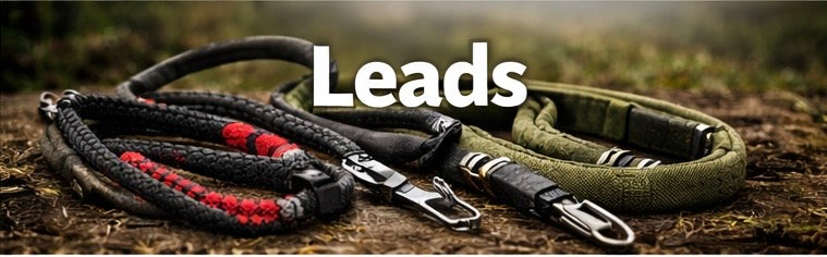 Dog Leads & Collars