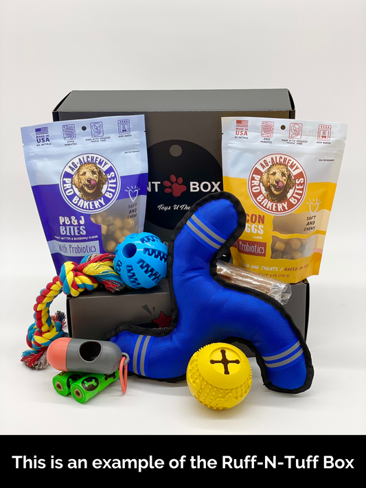 Toys N Treats Boxes