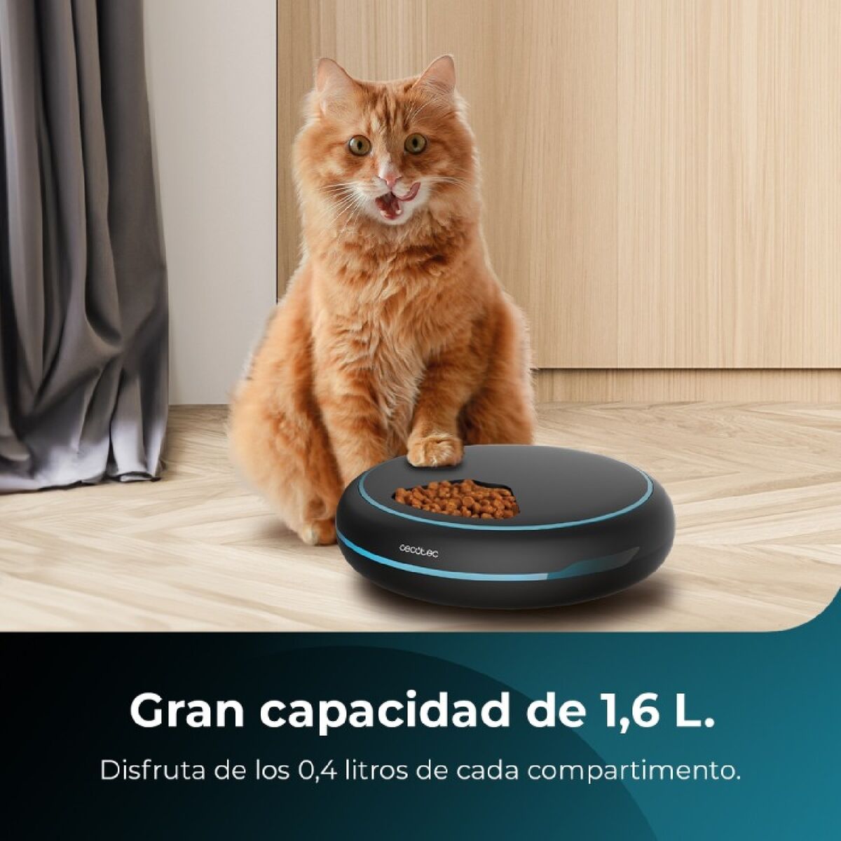 Automatic feeder Cecotec