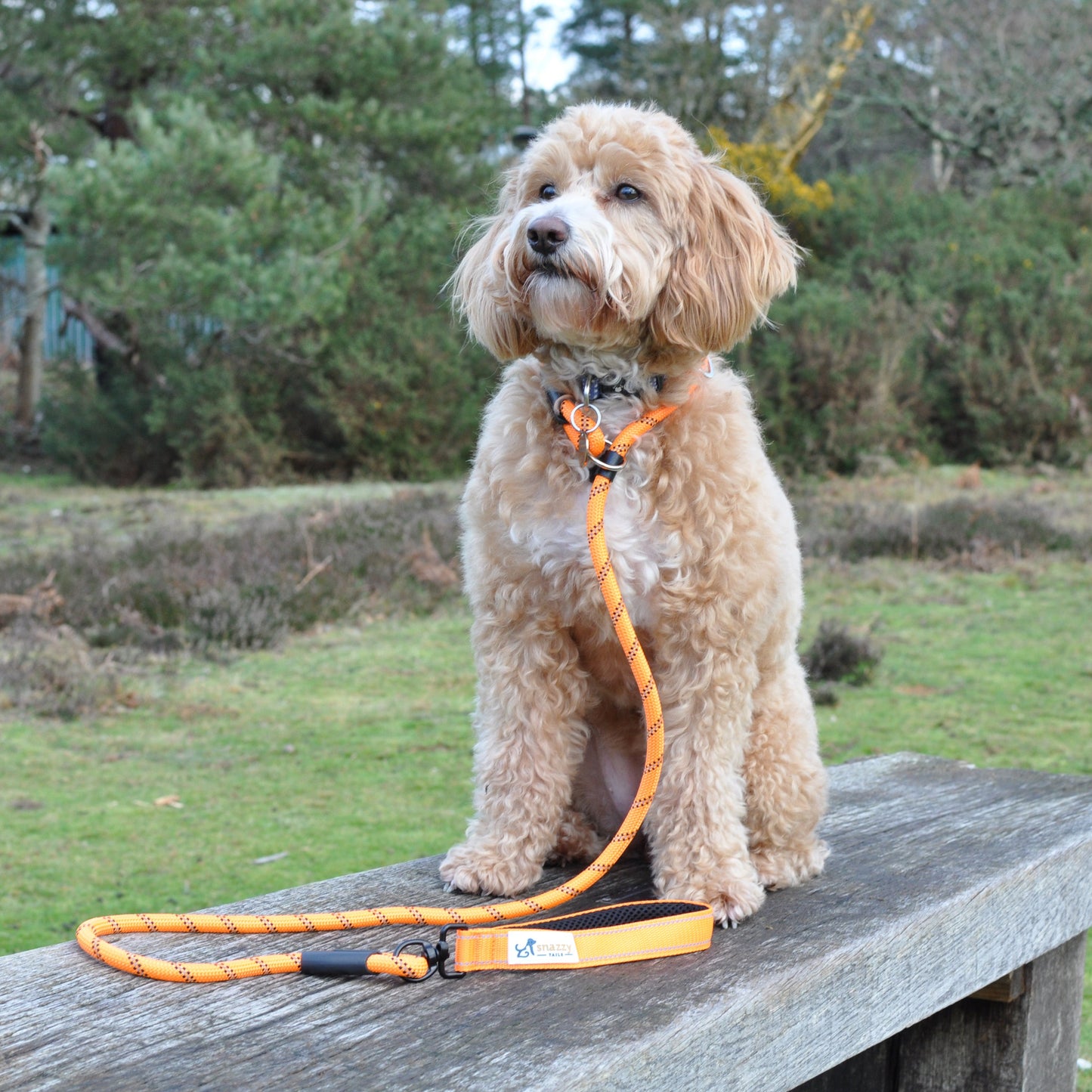 The Freedom Pro Rope Lead