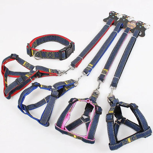 The Hands-Free Dog Leash