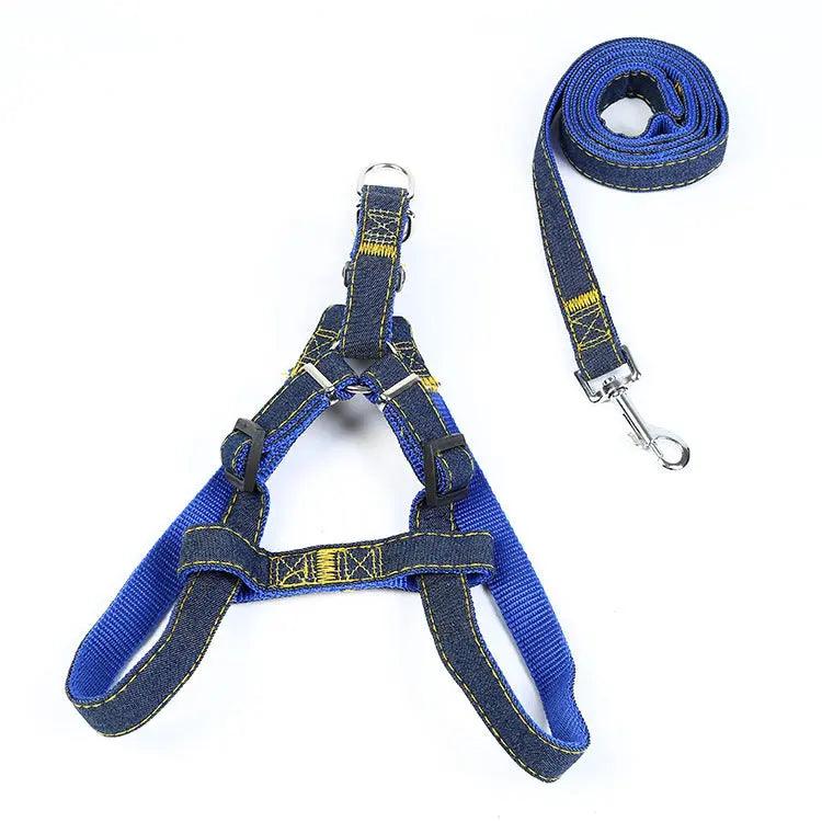 The Hands-Free Dog Leash