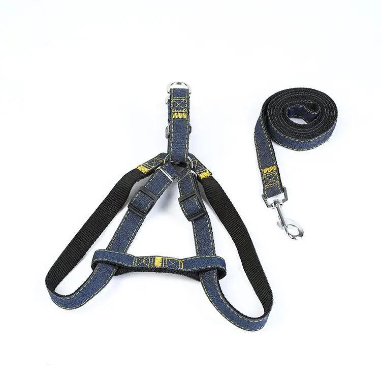 The Hands-Free Dog Leash