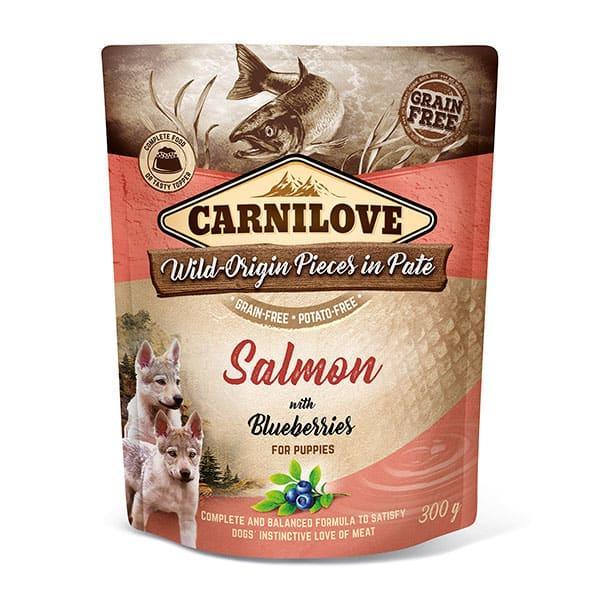 Carnilove Carnilove Salmon with Blueberries Wet Puppy Food 300g