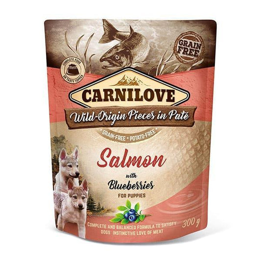 Carnilove Carnilove Salmon with Blueberries Wet Puppy Food 300g