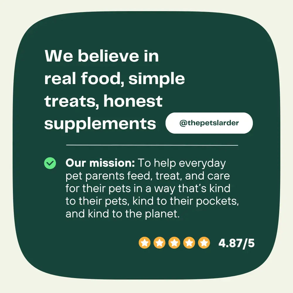 Dental Seaweed Powder for Dogs: Plaque Removal