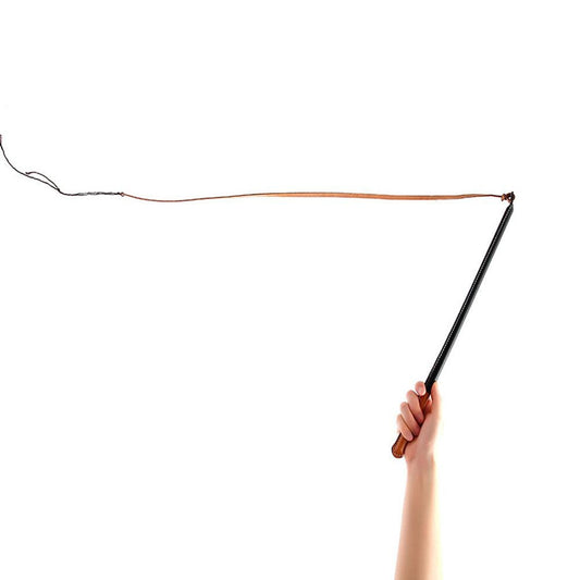 Dog Training Whip Leather